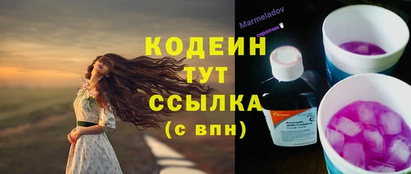 кокс Дмитриев