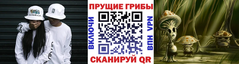 Галлюциногенные грибы GOLDEN TEACHER  Гай 